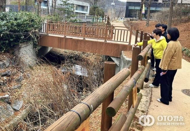 수원시 장안구 조원2동, 조원천 수목정비 현장점검 추진