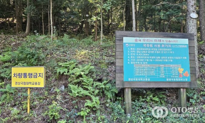 국유림 대부·사용허가지 실태조사