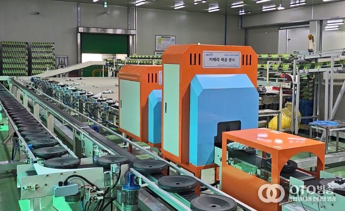 스마트 산지유통센터의 인공지능 선별