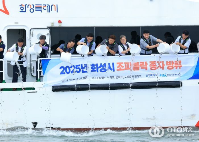 화성특례시 관계자 등이 26일 국화도 인근 바다에 조피볼락 종자를 방류하고 있다