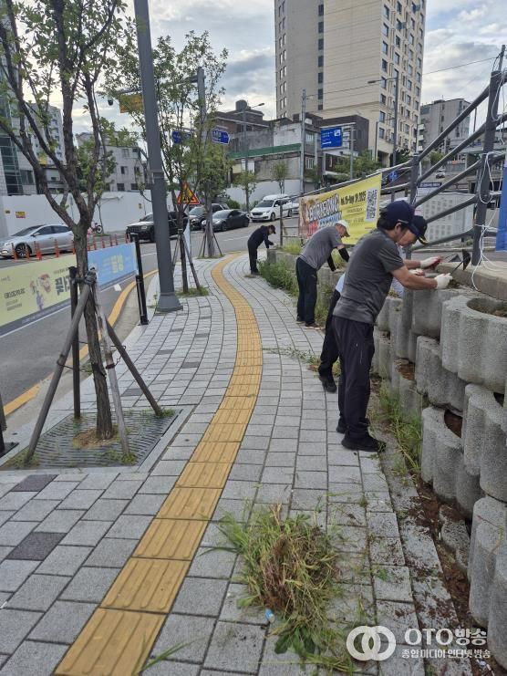 평택시 신장2동, 제초작업으로 깨끗한 거리조성
