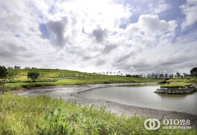 배곧생명공원 전경