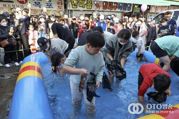 제10회 시흥월곶포구축제 중 맨손 고기잡이 체험에 참여 중인 시민들