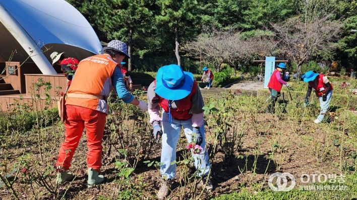 옥구공원, 정원사의 손길로 ‘활짝’ 피어나다