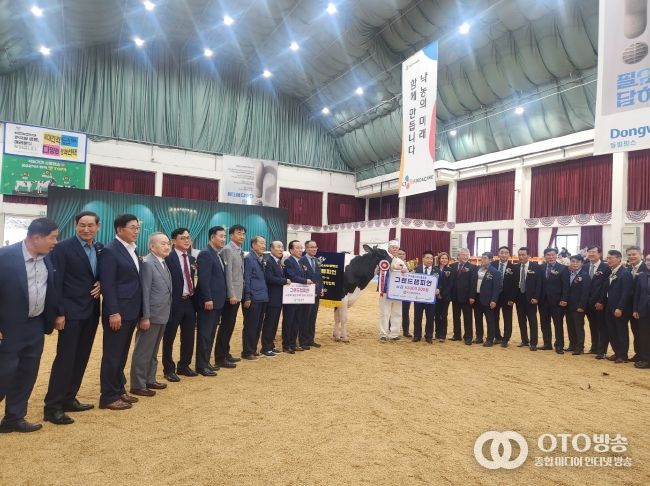 한국홀스타인품평회