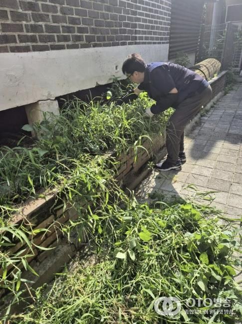 수원시 팔달구 행궁동 경기행복마을관리소, 손바닥정원 등 화단 정비 실시