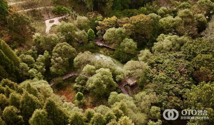 무장애 나눔길(물향기수목원)