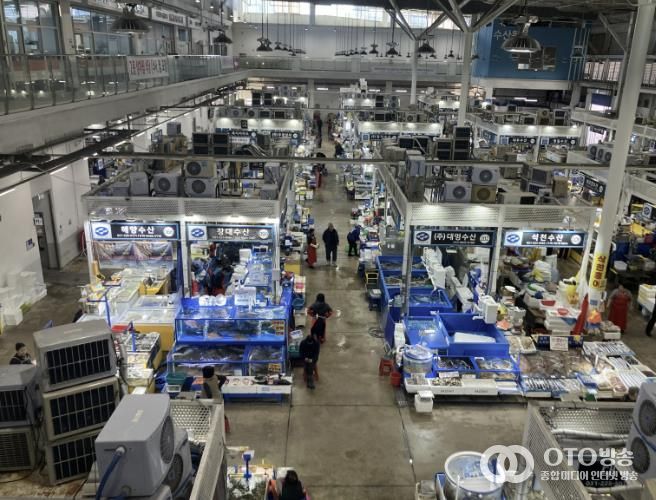 수원시농수산물도매시장 수산동 전경