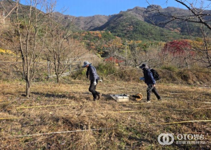 김천 갈항사지 GPR탐사 시범조사 모습 (2025년 11월)