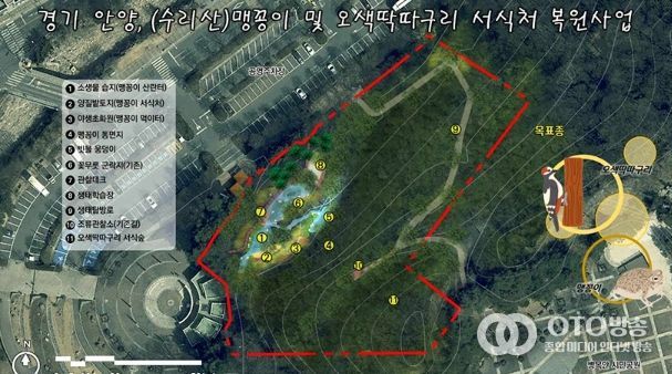 안양시, 병목안시민공원 맹꽁이・오색딱따구리 서식처 복원…국비 4.4억 확보