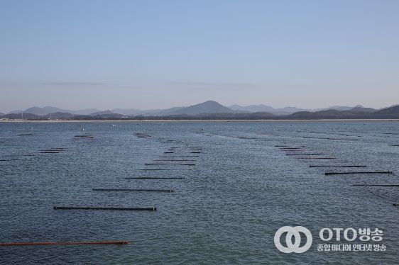 ‘충남 김’ 수출액 역대 최고