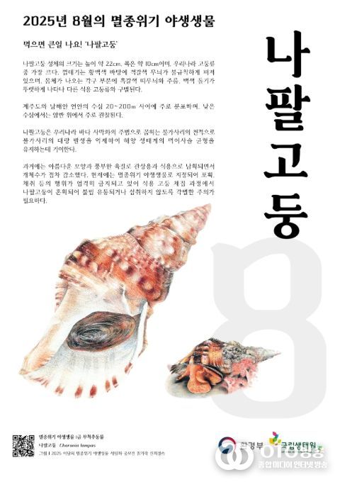 8월의 멸종위기 야생생물 포스터