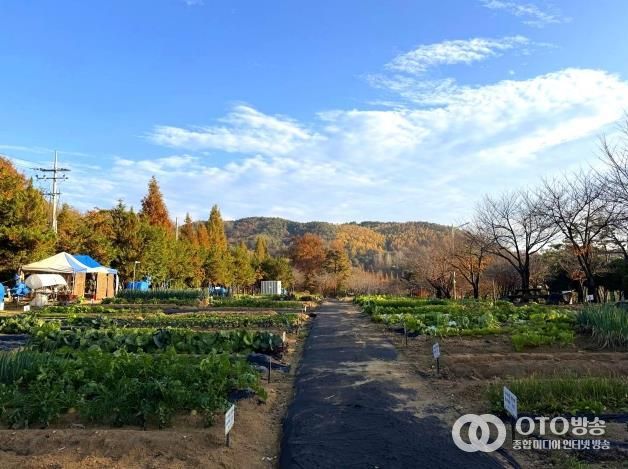 안성시, 2026년 도시농업공동체 공공텃밭 분양자 모집
