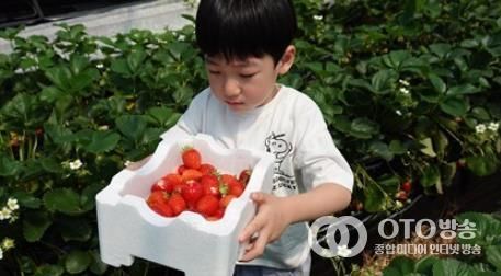 서울농장 농촌체험 프로그램