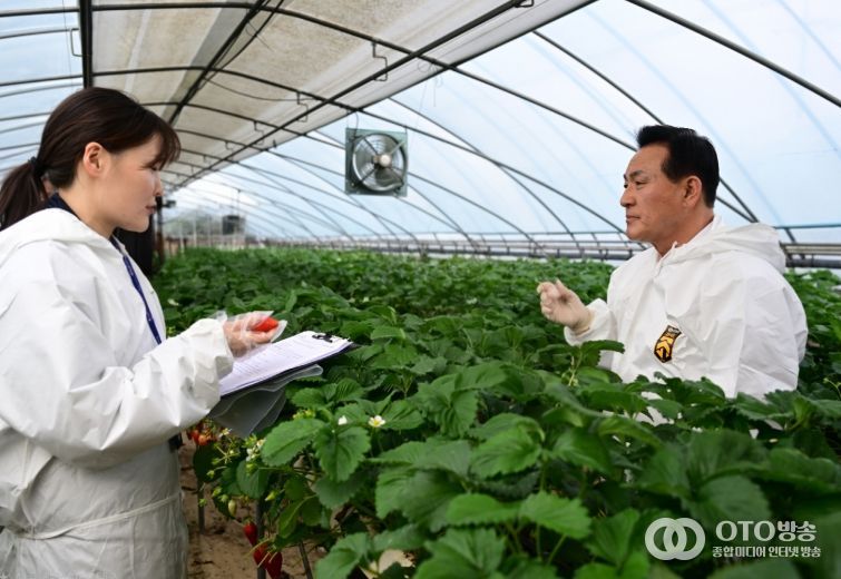 논산딸기축제 앞두고 현장 안전성 점검