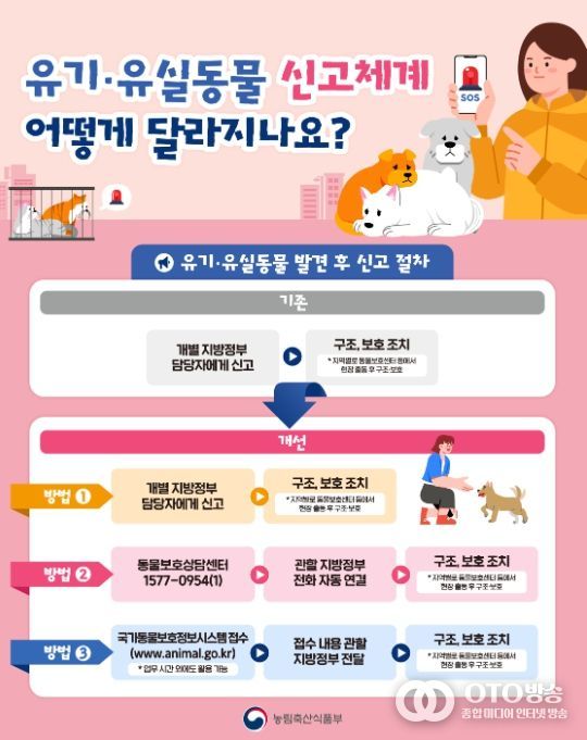 유기‧유실동물 신고체계 개선 내용