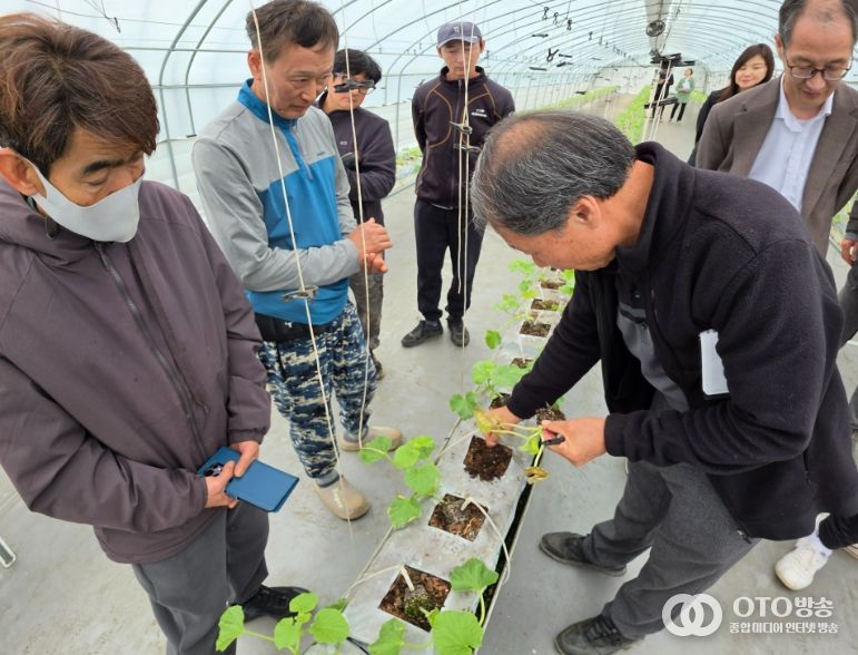 농업기술센터, ‘수경멜론 찾아가는 현장 컨설팅’