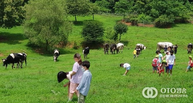 깨끗한 축산농장 지정 농장